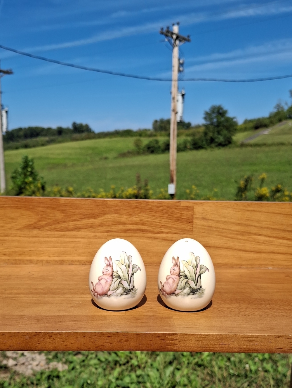 Decorative Bunny Egg Salt and Pepper Shakers - Cream Pink